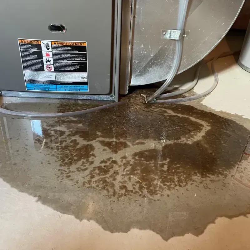 Appliance Leak Cleanup in Holly Hill, SC